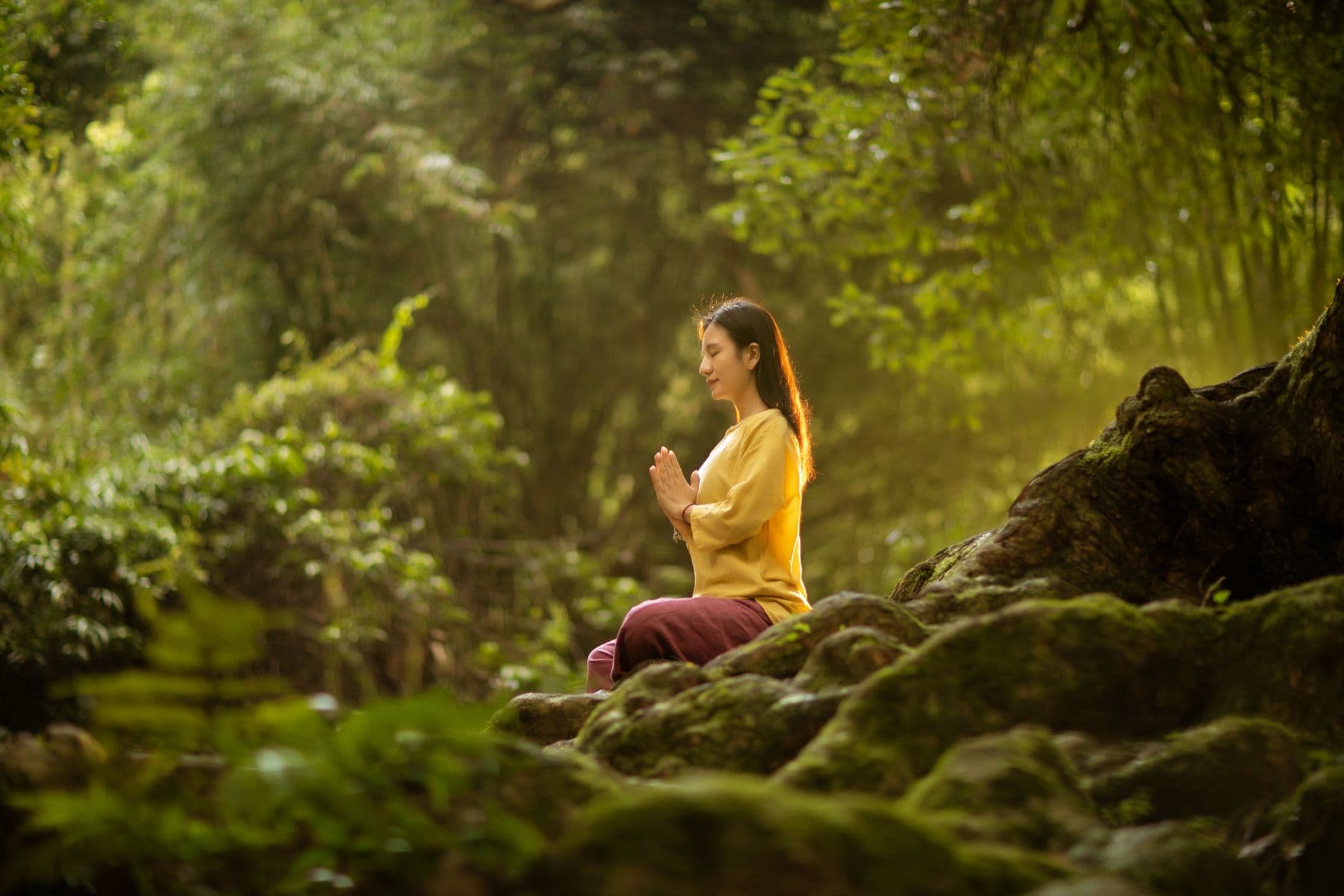 Peaceful outdoor meditation surrounded by trees