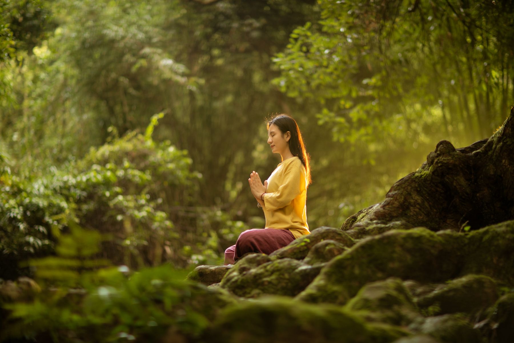 Peaceful outdoor meditation surrounded by trees