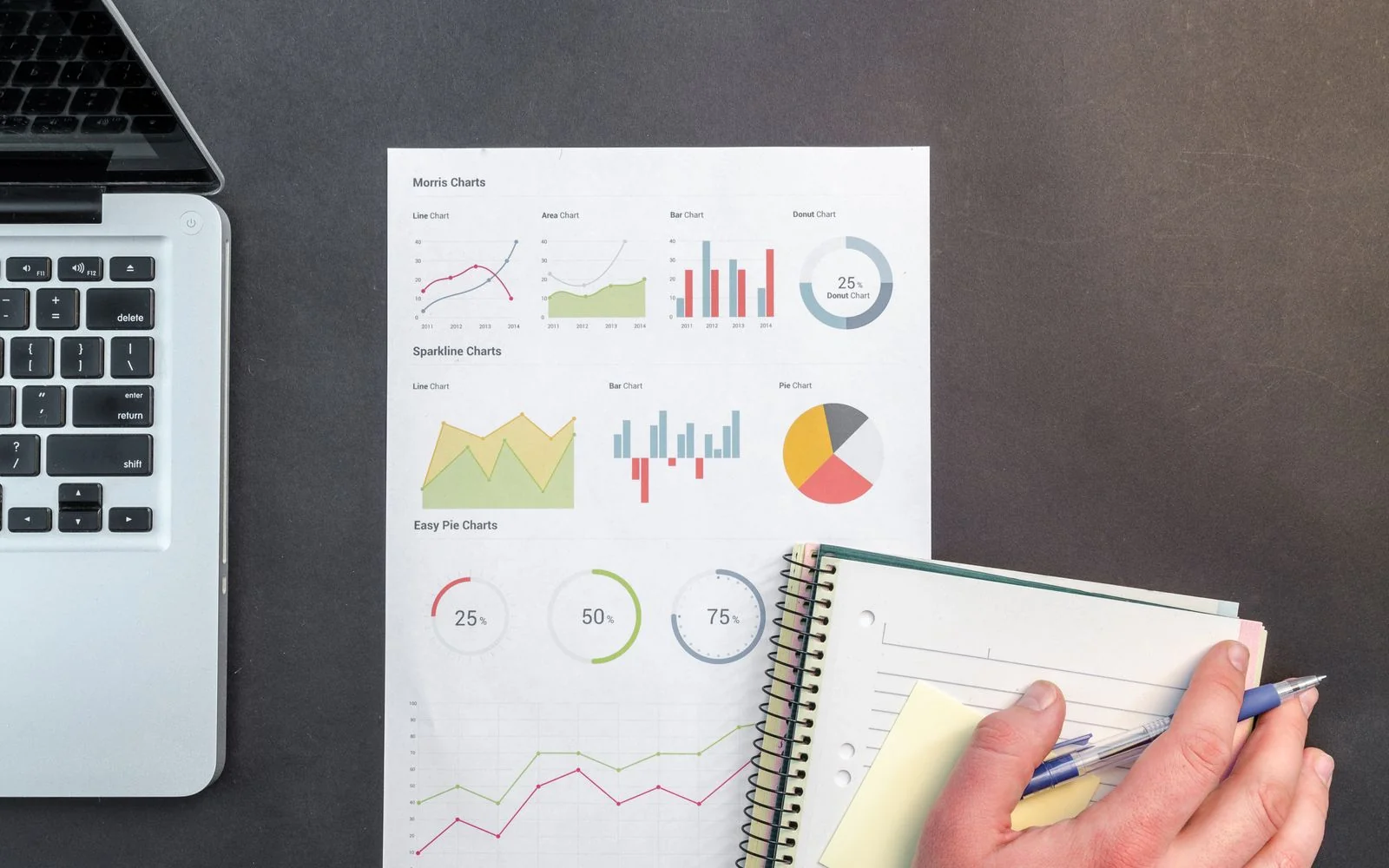 Laptop displaying audience growth analytics